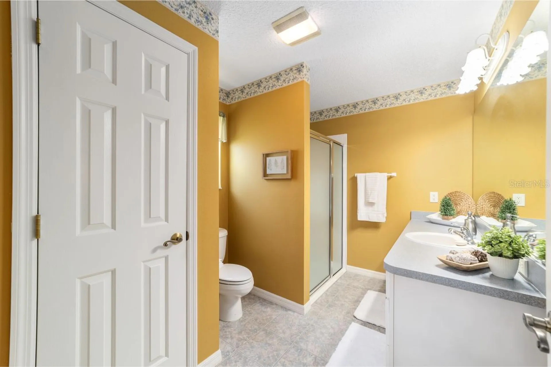 17637 SE 80th Altamaha Court The Villages FL 32162