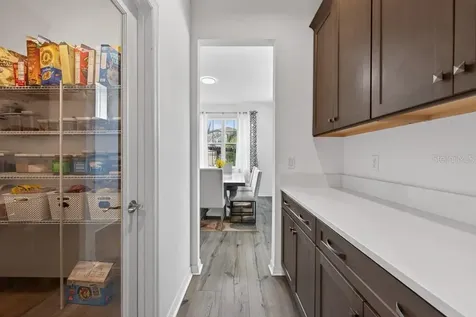 12337 Shining Willow Street Riverview FL 33579