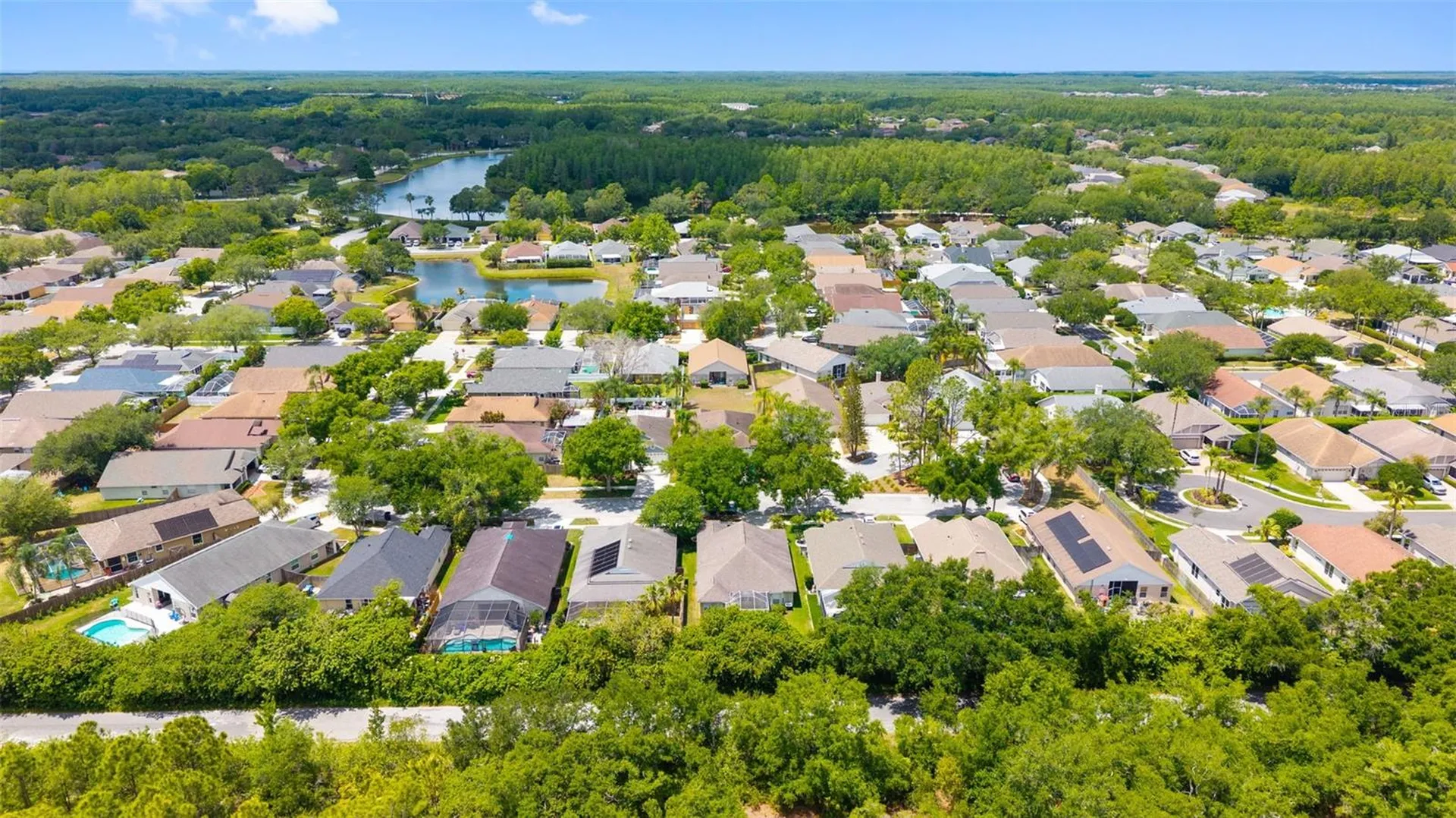4508 New Dawn Court Lutz FL 33558