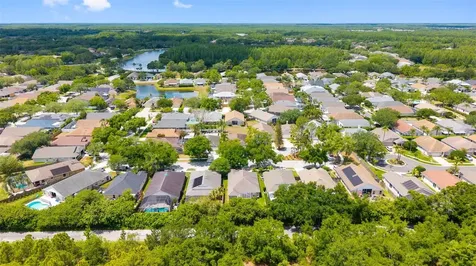4508 New Dawn Court Lutz FL 33558