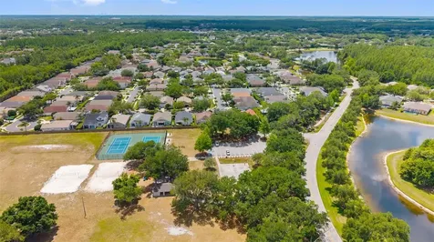 4508 New Dawn Court Lutz FL 33558