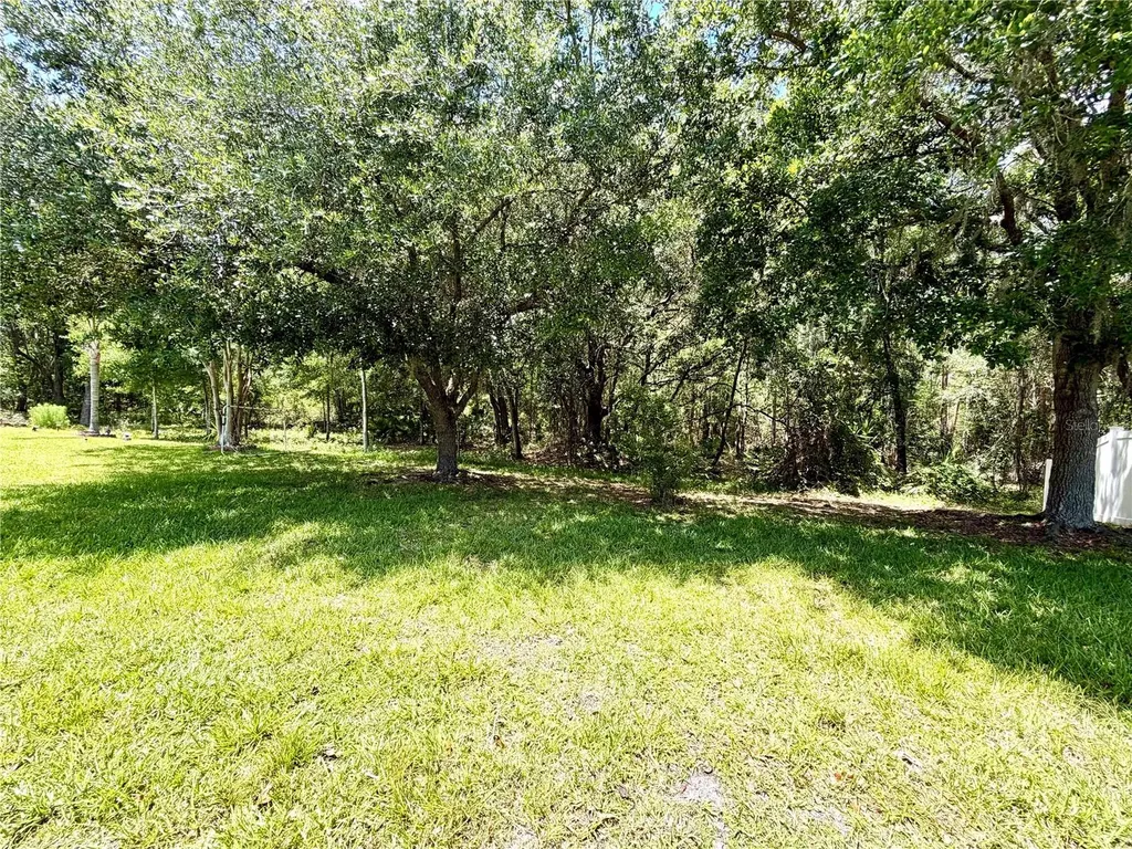 10450 Lucaya Drive Tampa FL 33647