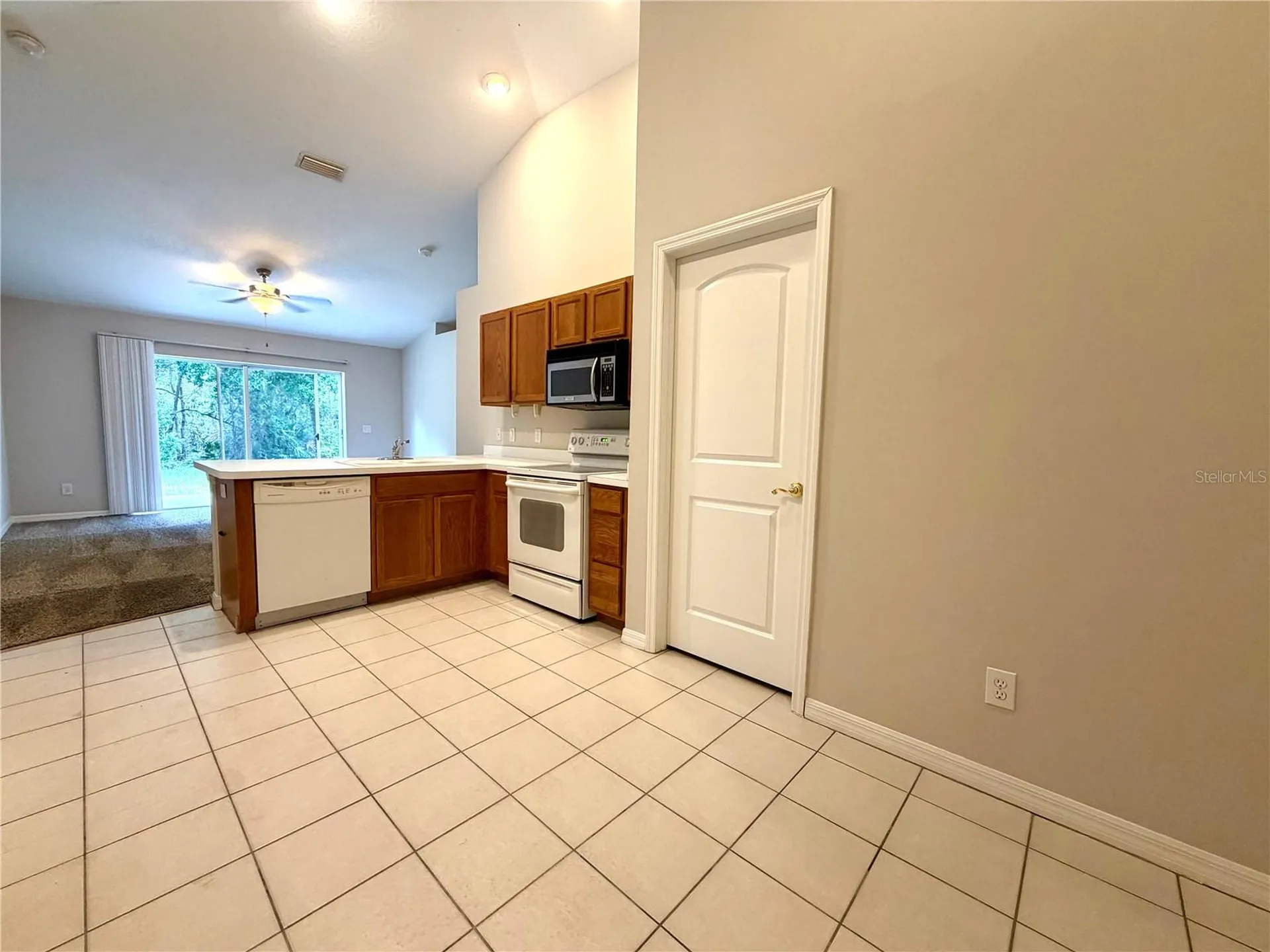 10450 Lucaya Drive Tampa FL 33647