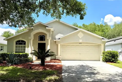 10450 Lucaya Drive Tampa FL 33647
