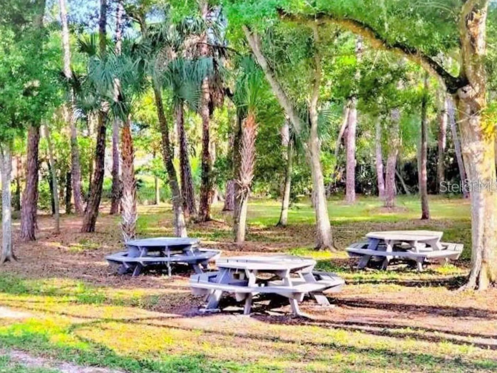 1400 Gandy Boulevard N St Petersburg FL 33702