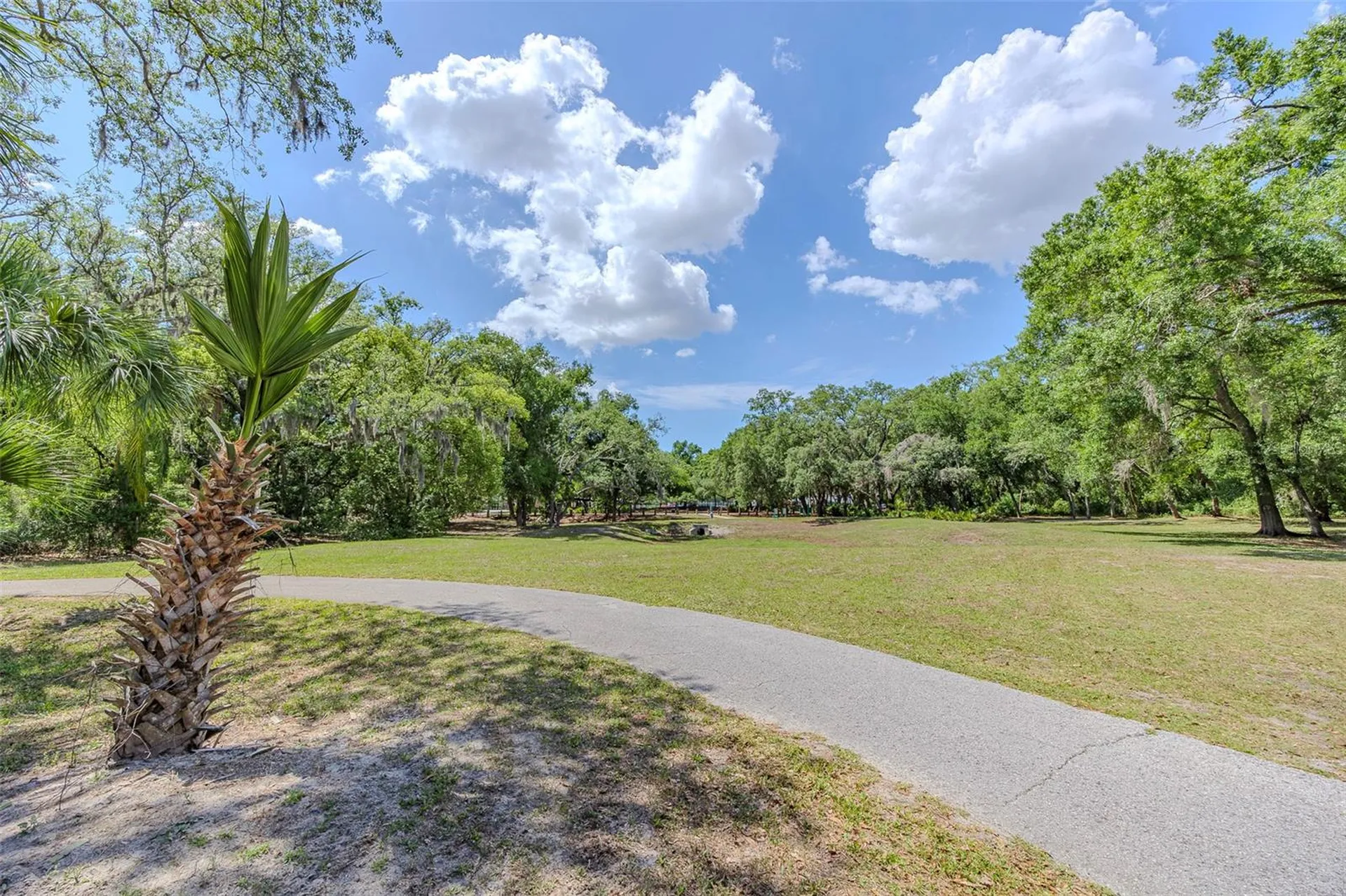 10904 N 15th Street Tampa FL 33612