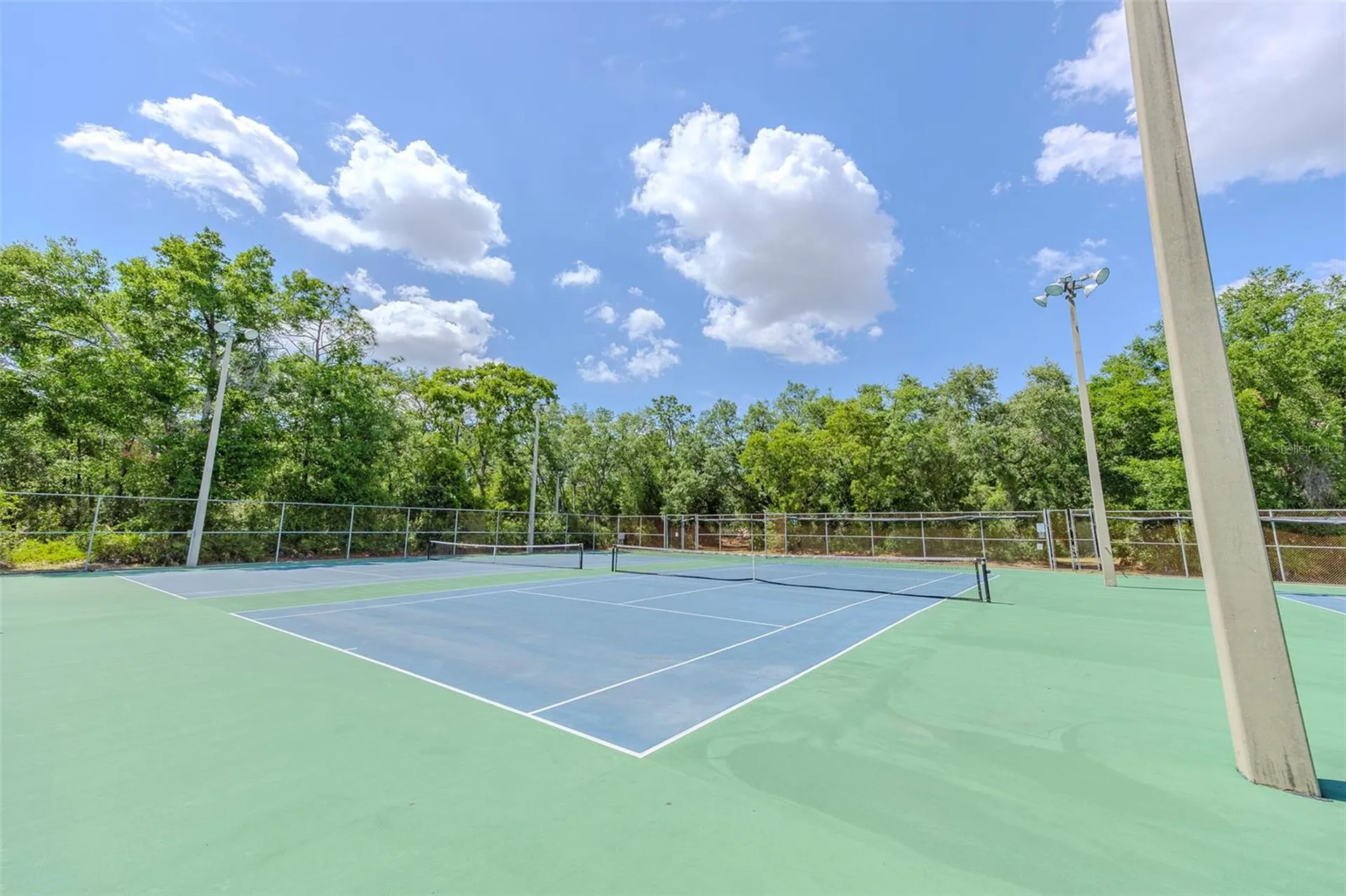 10904 N 15th Street Tampa FL 33612
