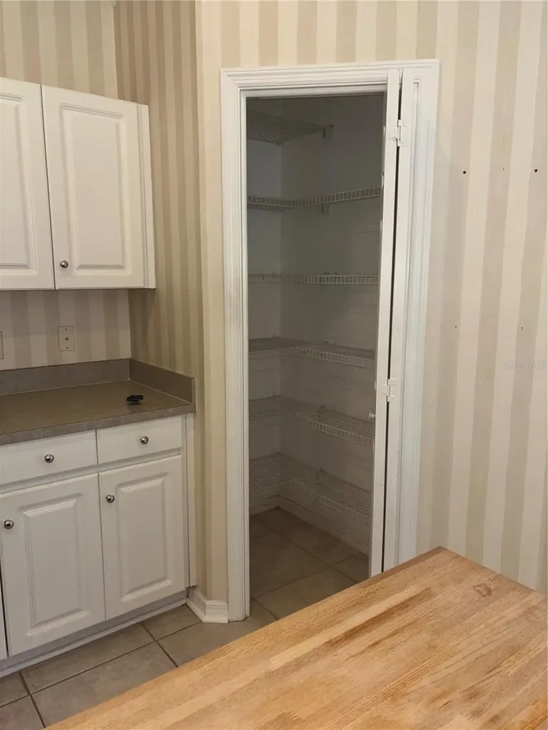 10132 Heather Sound Drive Tampa FL 33647