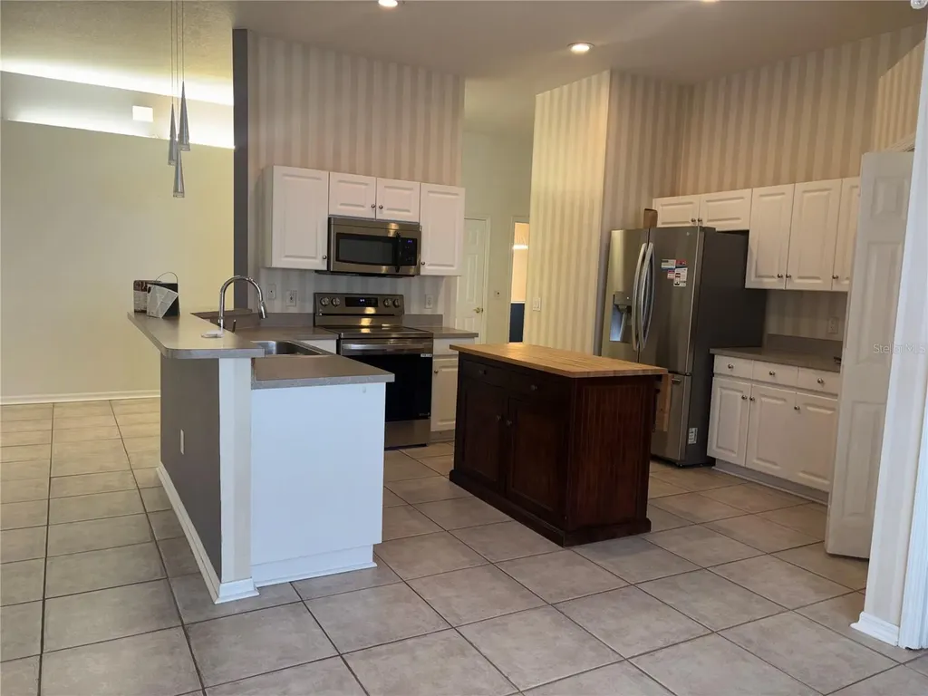 10132 Heather Sound Drive Tampa FL 33647