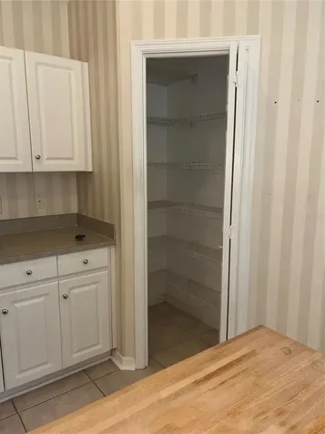10132 Heather Sound Drive Tampa FL 33647