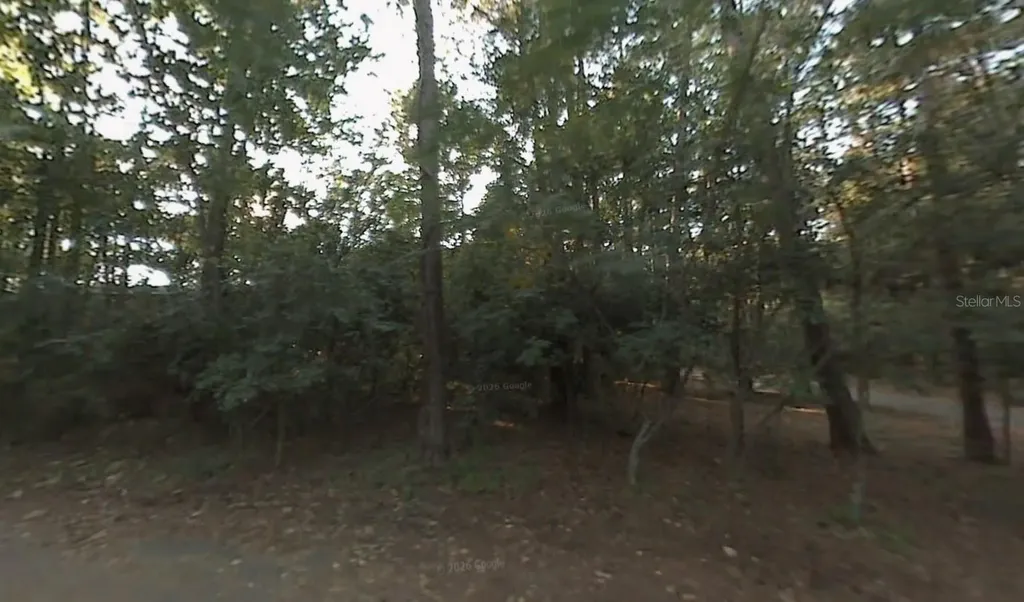 304 Wood Grove Court Tallahassee FL 32301