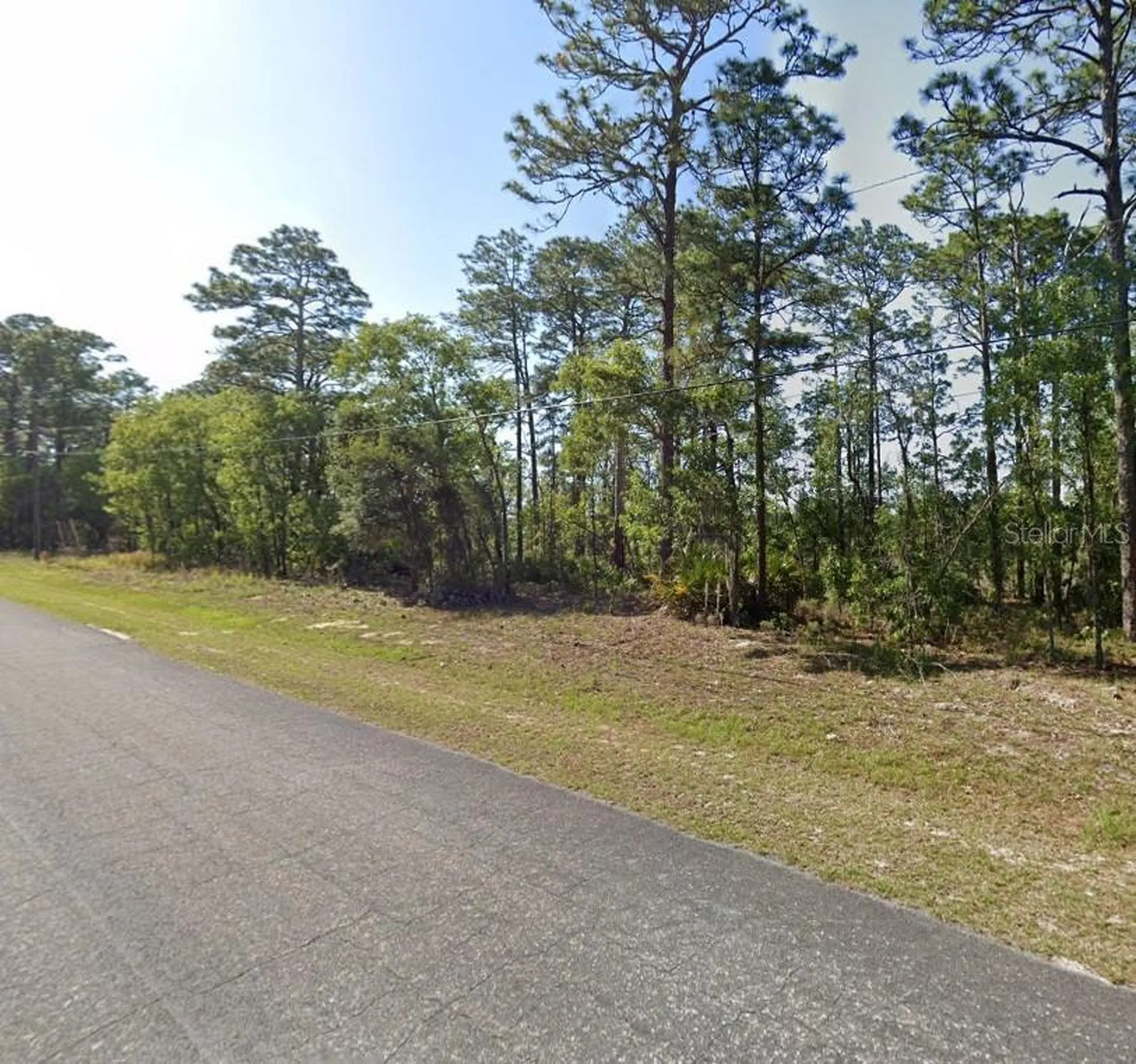 425 W Homeway Loop Citrus Springs FL 34434
