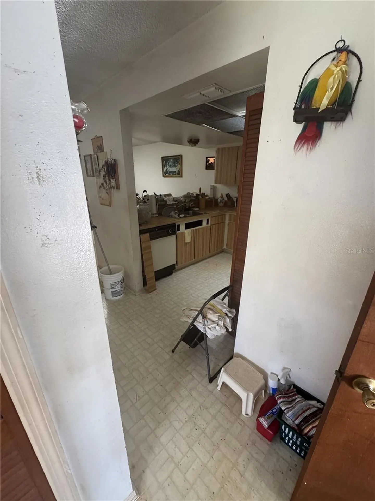 11700 Minto Court Orlando FL 32837