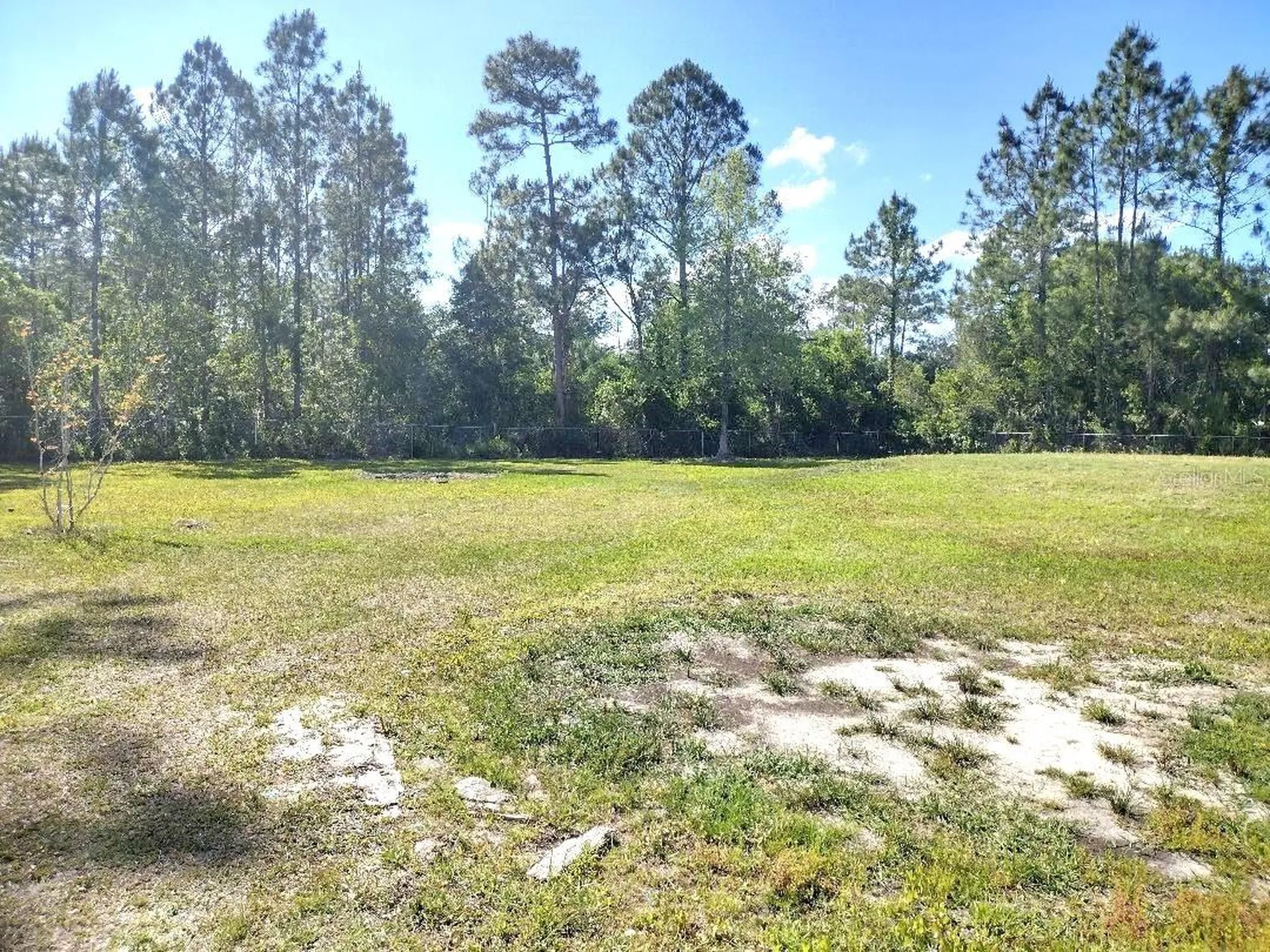 1558 Candleberry Street Bunnell FL 32110