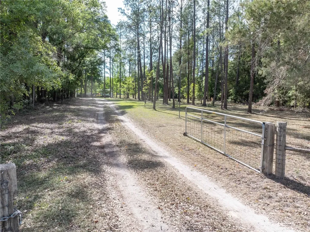 159 SW 70th Avenue Bell FL 32619