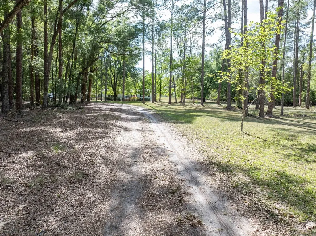 159 SW 70th Avenue Bell FL 32619