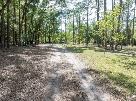 159 SW 70th Avenue Bell FL 32619