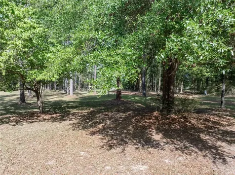 159 SW 70th Avenue Bell FL 32619