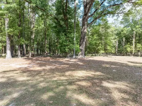 159 SW 70th Avenue Bell FL 32619