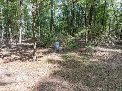 159 SW 70th Avenue Bell FL 32619