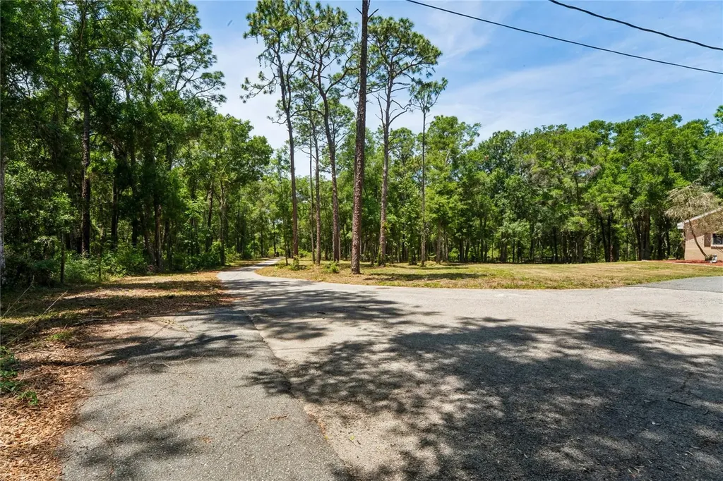 16225 Bonzai Trail Brooksville FL 34613