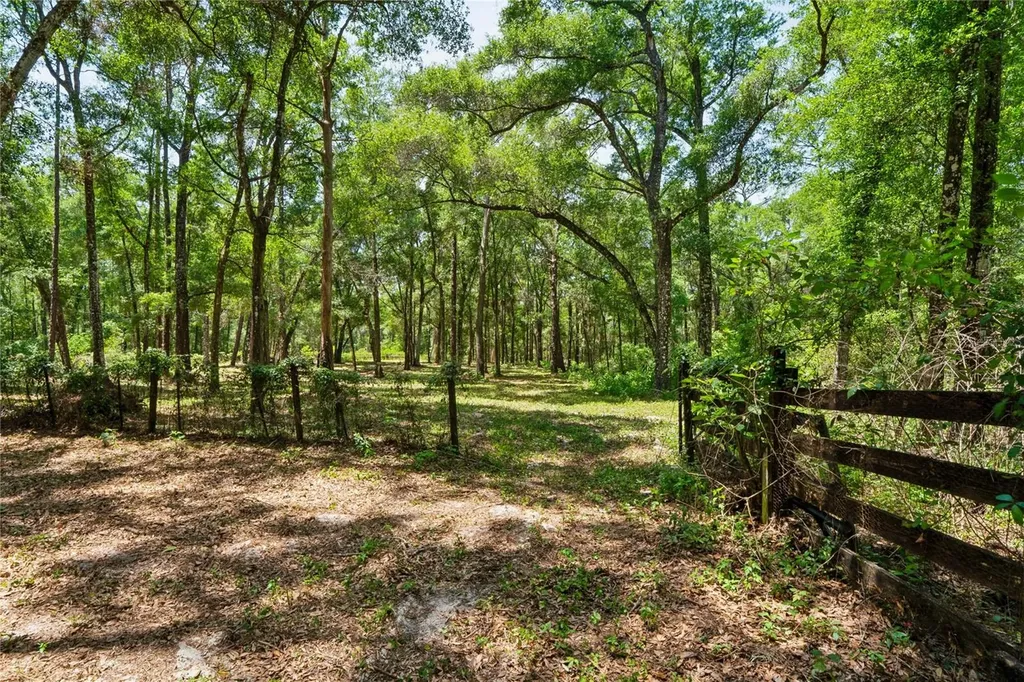 16225 Bonzai Trail Brooksville FL 34613