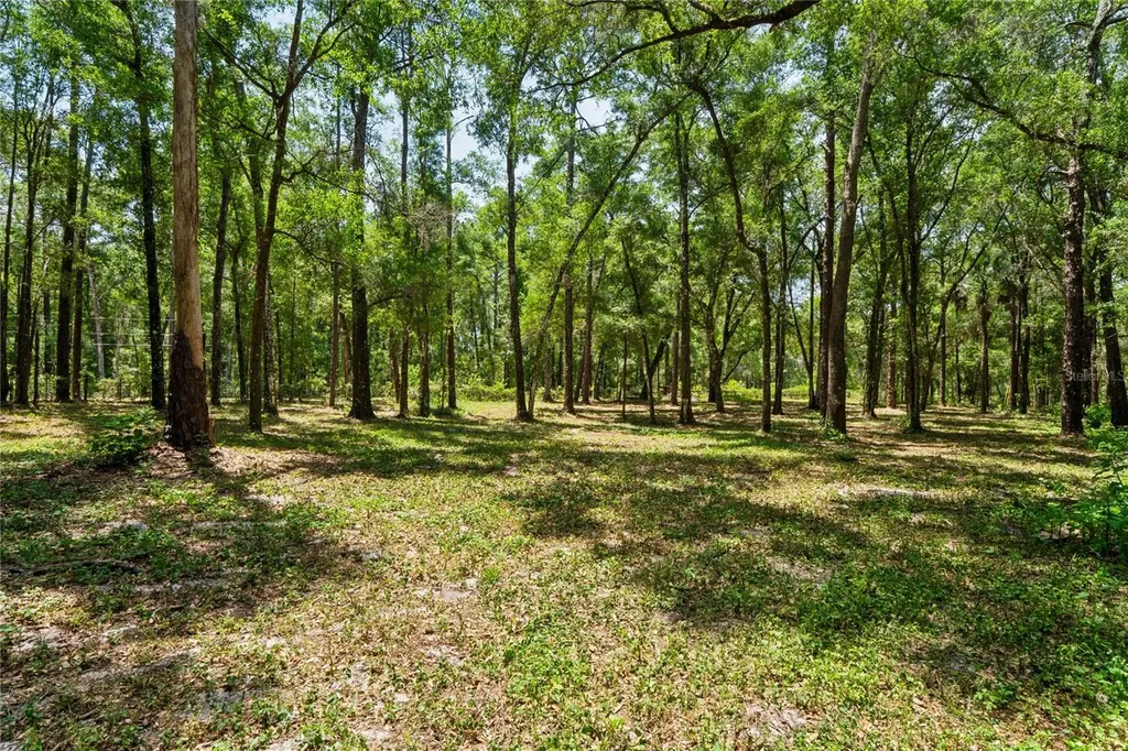 16225 Bonzai Trail Brooksville FL 34613