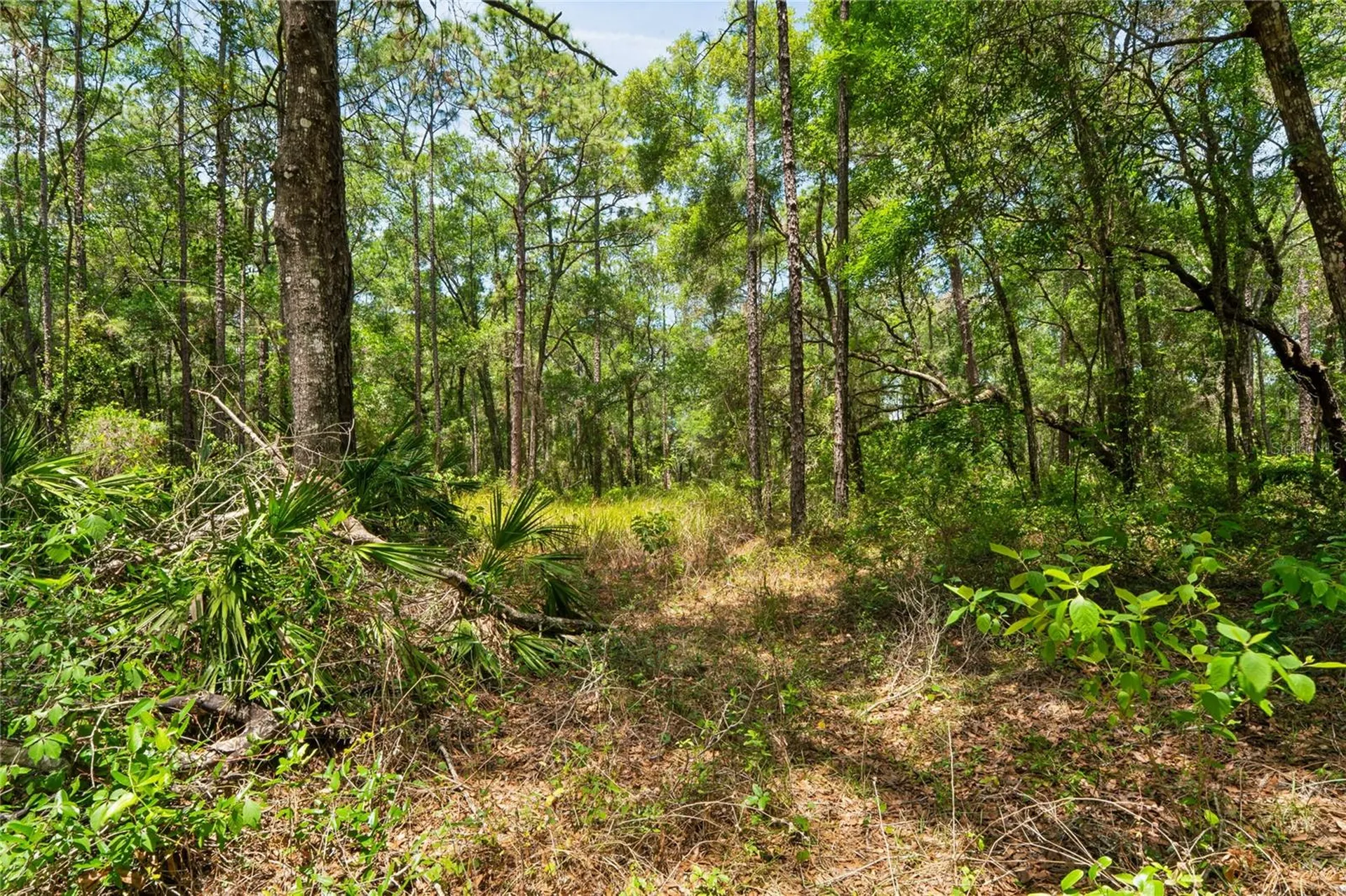 16225 Bonzai Trail Brooksville FL 34613
