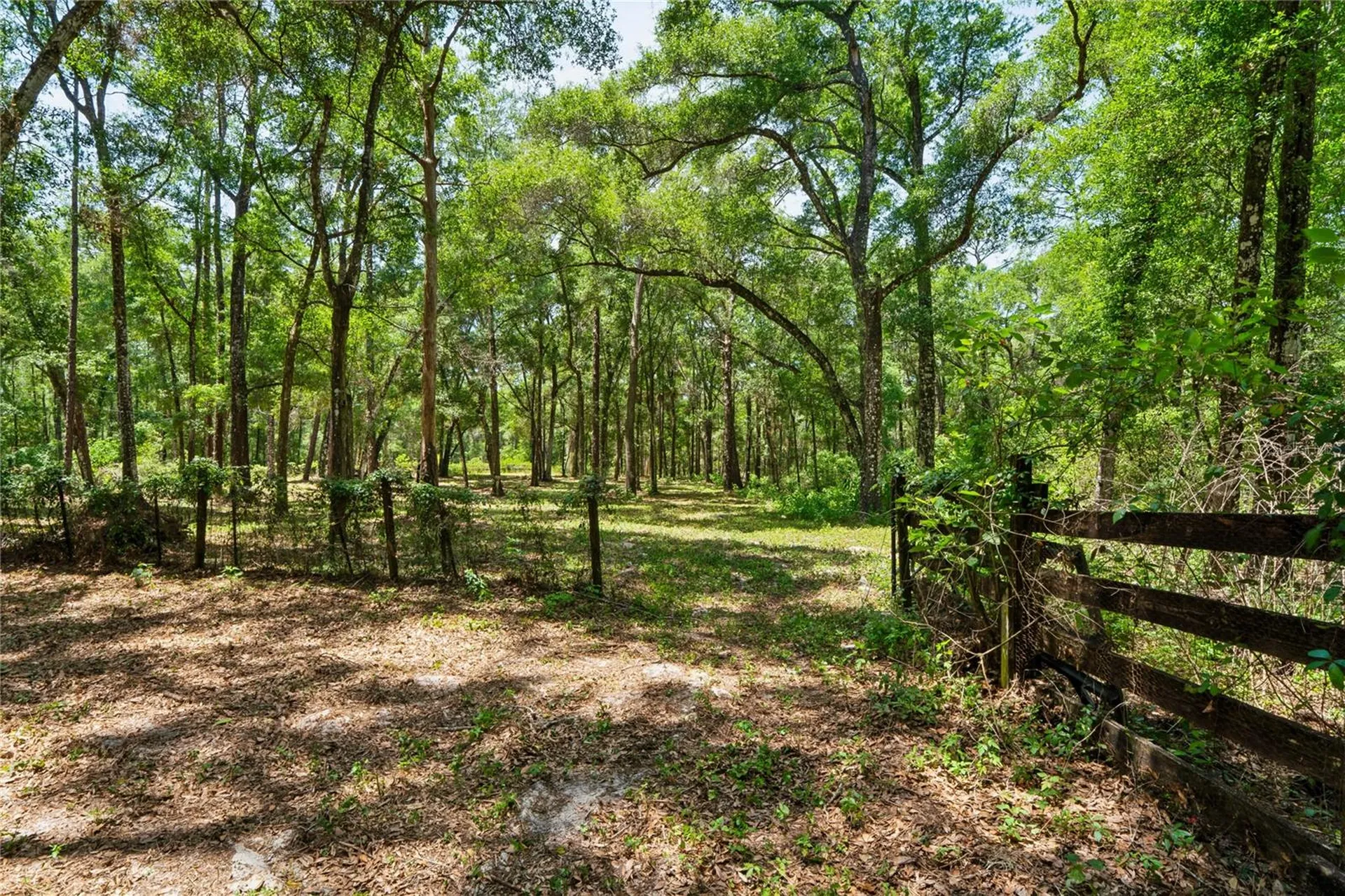 16225 Bonzai Trail Brooksville FL 34613
