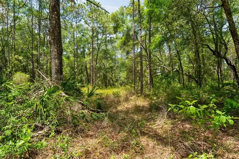 16225 Bonzai Trail Brooksville FL 34613