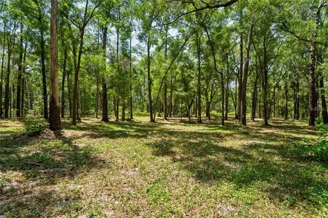 16225 Bonzai Trail Brooksville FL 34613
