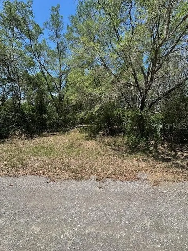 8681 N Catapane Loop Crystal River FL 34428