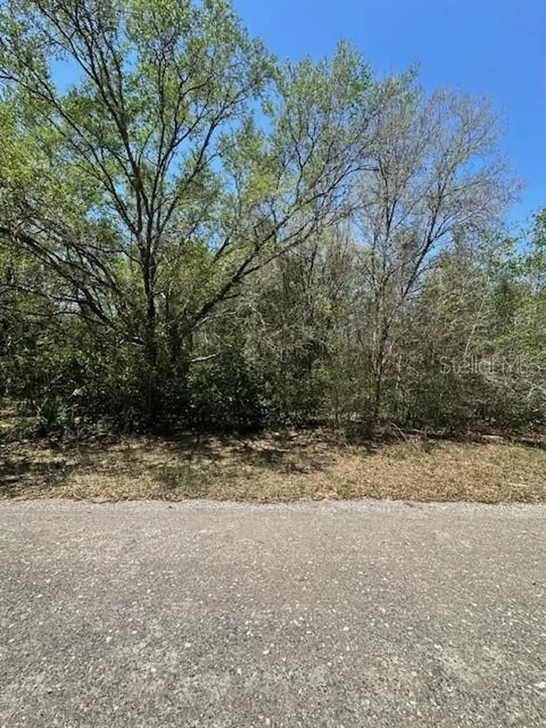 8681 N Catapane Loop Crystal River FL 34428