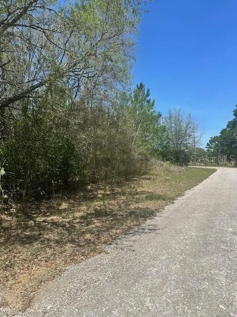 8681 N Catapane Loop Crystal River FL 34428