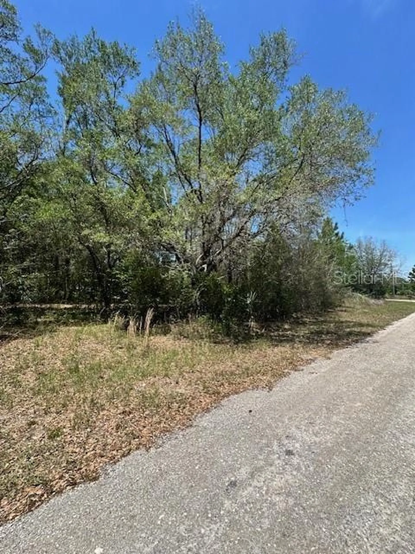 8681 N Catapane Loop Crystal River FL 34428