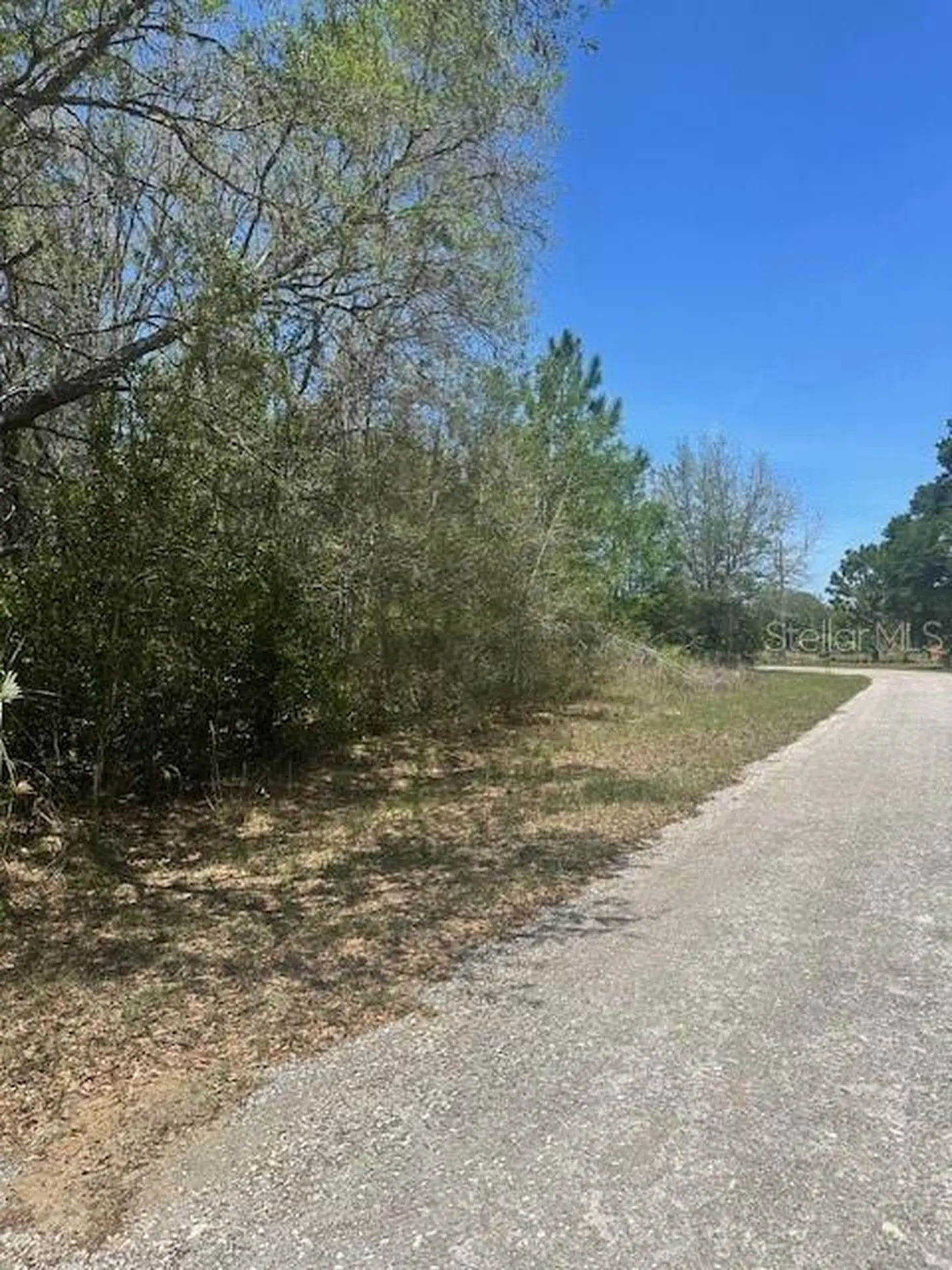 8681 N Catapane Loop Crystal River FL 34428