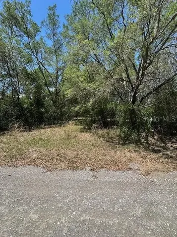 8681 N Catapane Loop Crystal River FL 34428