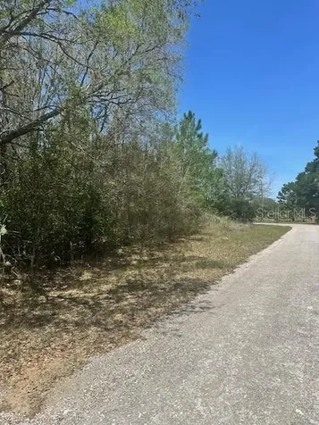 8681 N Catapane Loop Crystal River FL 34428