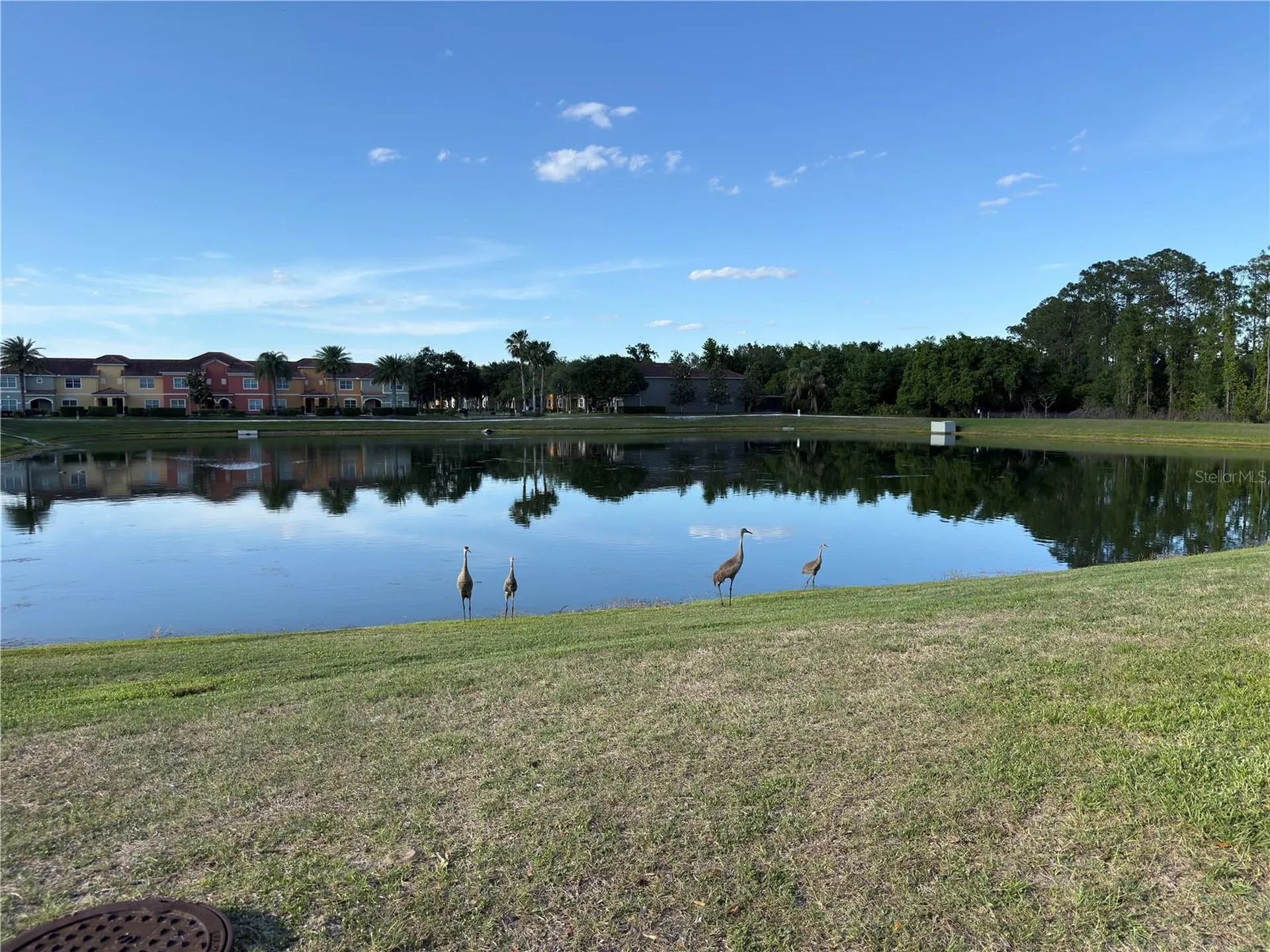 2997 Buccaneer Palm Road Kissimmee FL 34747