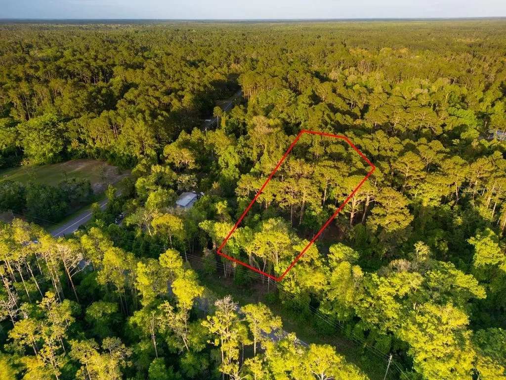 172 Whispering Pines Road Georgetown FL 32139