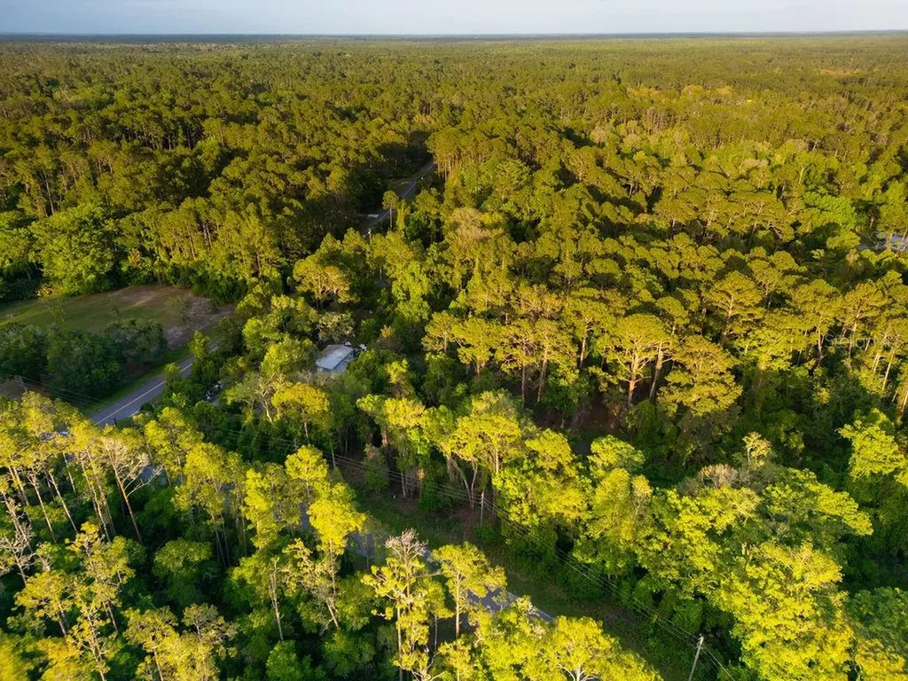 172 Whispering Pines Road Georgetown FL 32139