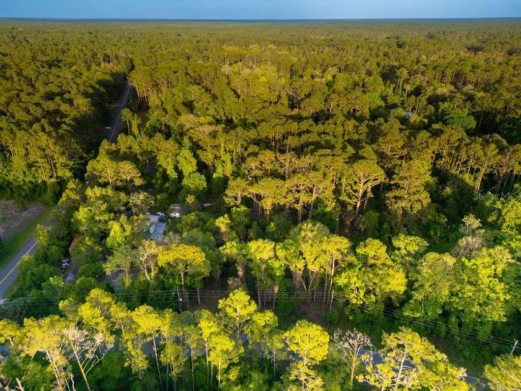 172 Whispering Pines Road Georgetown FL 32139
