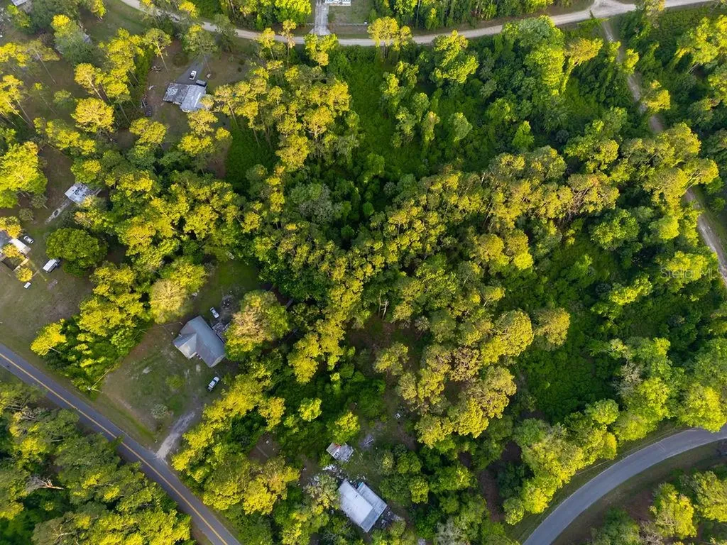 172 Whispering Pines Road Georgetown FL 32139