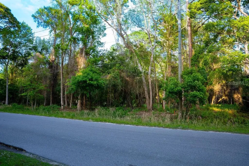 172 Whispering Pines Road Georgetown FL 32139