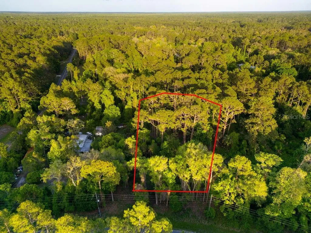 172 Whispering Pines Road Georgetown FL 32139