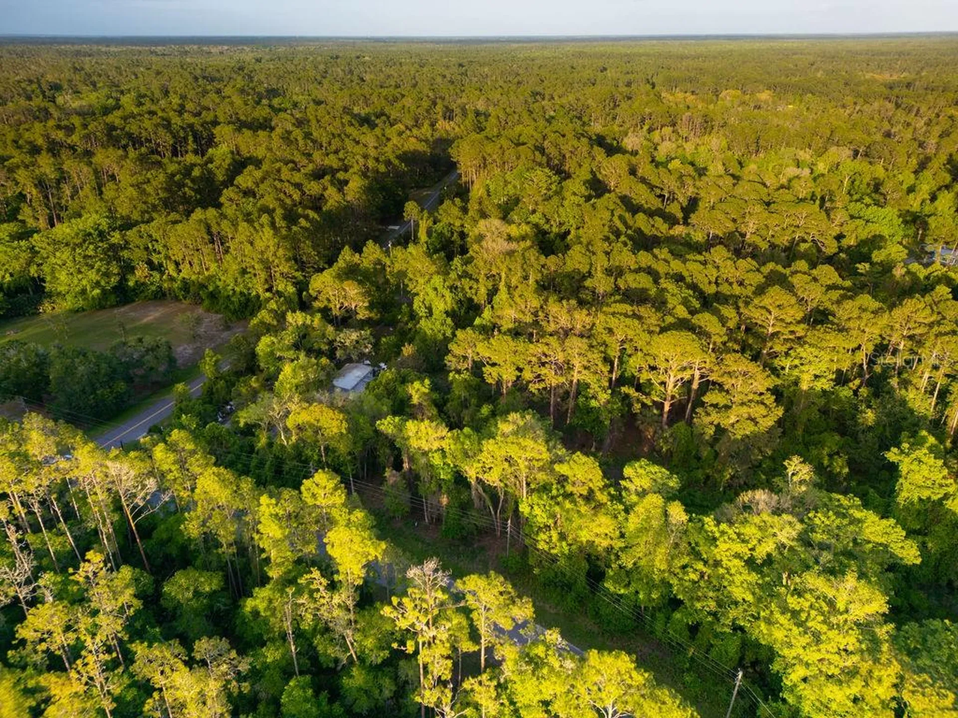 172 Whispering Pines Road Georgetown FL 32139
