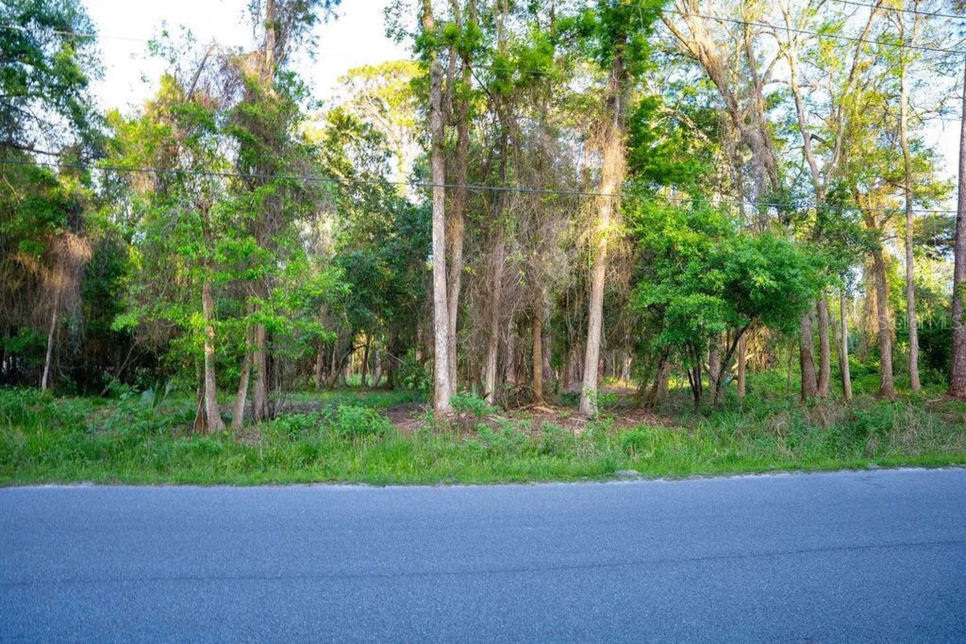 172 Whispering Pines Road Georgetown FL 32139