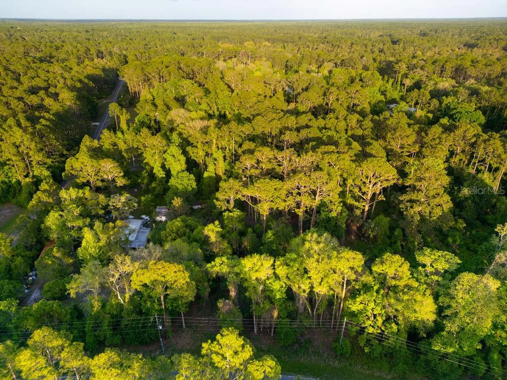 172 Whispering Pines Road Georgetown FL 32139