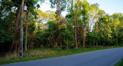 172 Whispering Pines Road Georgetown FL 32139