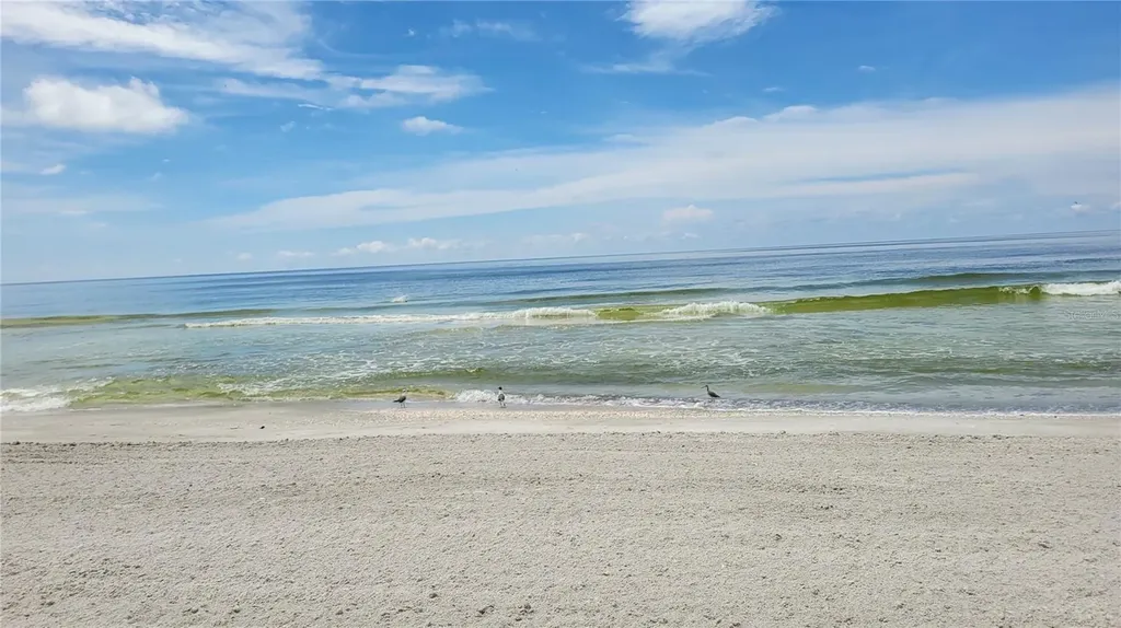 1000 Longboat Club Road Longboat Key FL 34228